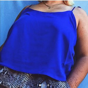 Large Royal blue blouse.